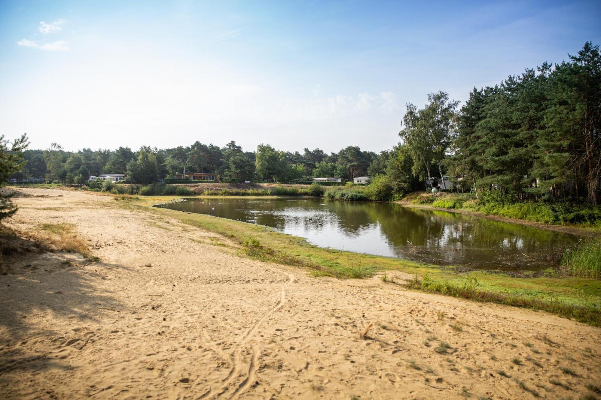 Safaritent At Camping Gt Keiheuvel Balen Extérieur photo