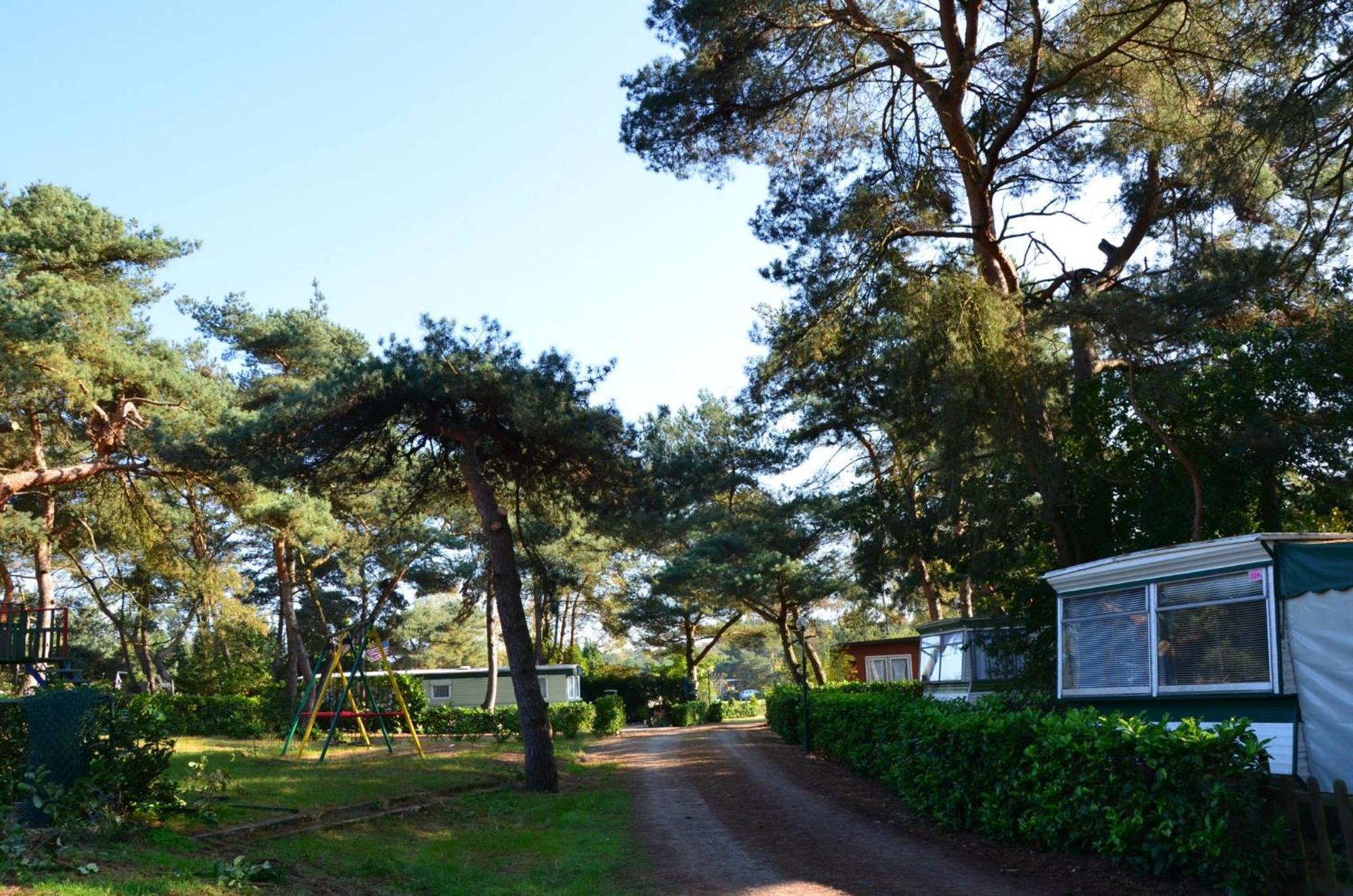 Safaritent At Camping Gt Keiheuvel Balen Extérieur photo